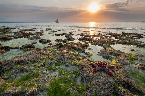 Nungwi Beach Zanzibar Yoni Lerner - Attribution License (http://creativecommons.org/licenses/by/2.0/) Yoni Lerner