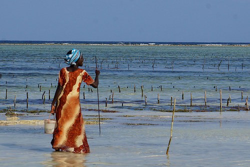 spiaggia di matemwe