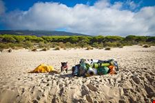  playa bolonia