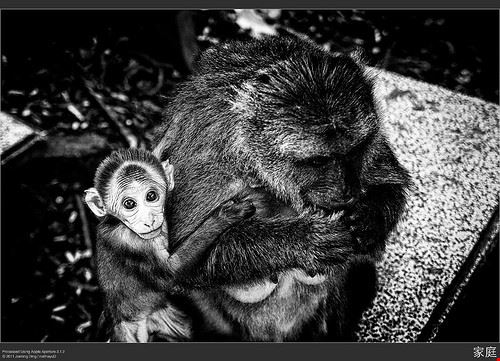  Chiang Rai Ding Jiaming - Attribution-NonCommercial-NoDerivs (http://creativecommons.org/licenses/by-nc-nd/2.0/) Ding Jiaming