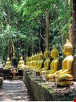  chiang saen