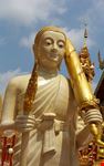  wat phra that doi tung