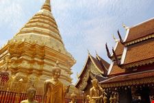  wat phra that doi tung