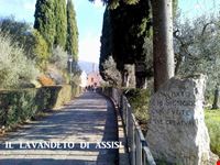 san damiano ingresso assisi