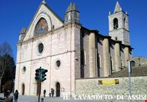 santuario di rivotorto assisi