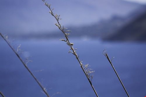 Escursioni Naturalistiche - hgomezherrero - hgomezherrero - Attribution-NonCommercial-ShareAlike (http://creativecommons.org/licenses/by-nc-sa/2.0/)