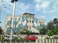  taraporewala aquarium