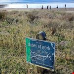  heads whakatane