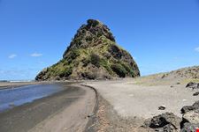  piha beach