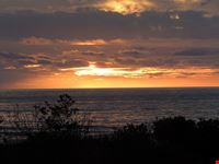  great barrier island