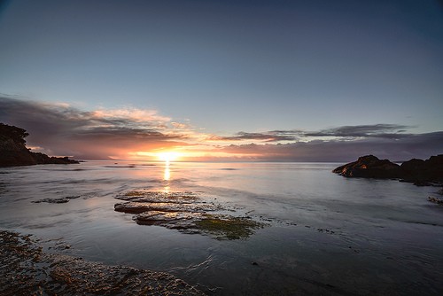  opito bay
