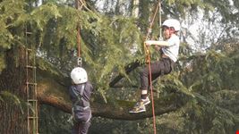  parco junior