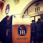  hofbrauhaus