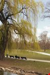  englischer garten  giardino inglese