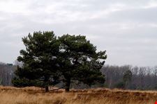  highland park