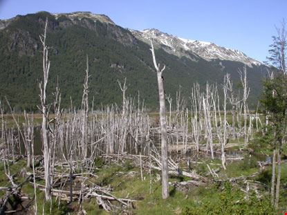  Ushuaia Jeroen Peys - ©iStockphoto.com Jeroen Peys