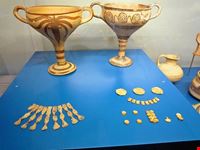  museo di etnologia