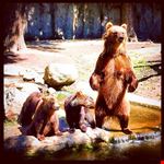 musee zoologique