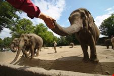  musee zoologique