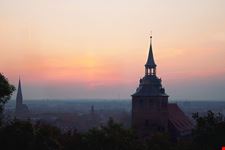 lueneburger heide ausflug
