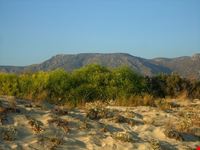  spiaggia di elafonissi