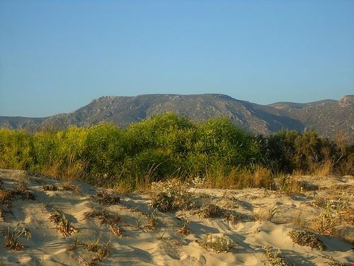 Elafonissi beach Crete gliak00 - Attribution-NonCommercial-ShareAlike (http://creativecommons.org/licenses/by-nc-sa/2.0/) gliak00