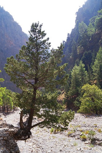  gole di samaria