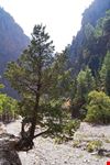  gole di samaria