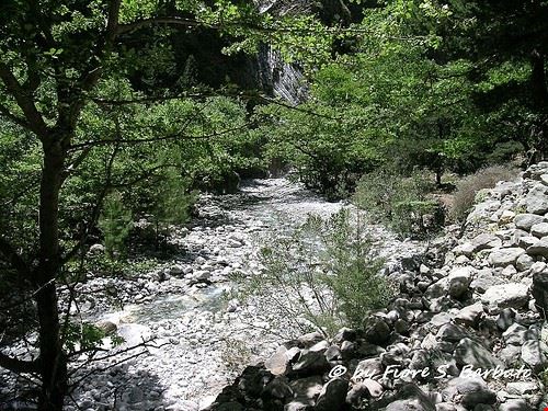 Trekking Creta Fiore S. Barbato - Attribution-ShareAlike License (http://creativecommons.org/licenses/by-sa/2.0/) Fiore S. Barbato