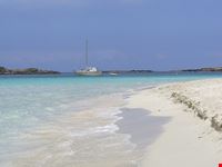  s alga beach