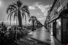  vieux port