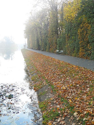  wilanov park