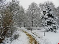  saxon garden