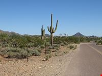  tonto national forest