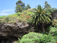  caves of drach