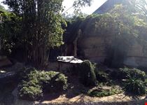  audubon zoo