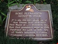  audubon zoo