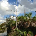  new orleans city park