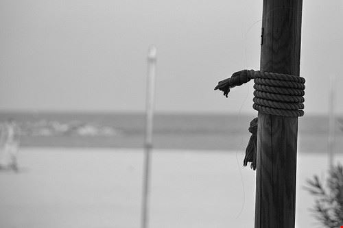  Pescara Giuseppe Ballone - Attribution License (http://creativecommons.org/licenses/by/2.0/) Giuseppe Ballone