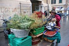  mercato centrale