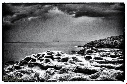 Riserva Naturale di Calafuria - Nechator - Nechator - Attribution-NonCommercial-NoDerivs (http://creativecommons.org/licenses/by-nc-nd/2.0/)