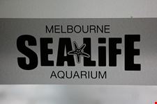  melbourne aquarium