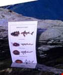  melbourne aquarium