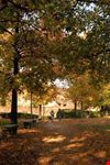  parco dell allea