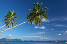 Paesaggio tropicale