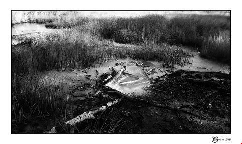 Acqua della fonte termale - Giuseppe Quattrone - Giuseppe Quattrone - Attribution-NonCommercial-NoDerivs (http://creativecommons.org/licenses/by-nc-nd/2.0/)