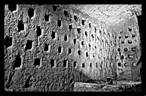  Orvieto STEVE BEST ONE - Attribution-NonCommercial-ShareAlike (http://creativecommons.org/licenses/by-nc-sa/2.0/) STEVE BEST ONE