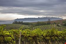  i vini di orvieto