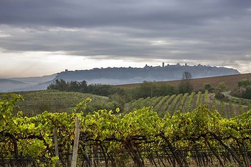 I vini di Orvieto - candido33 - candido33 - Attribution-NonCommercial-ShareAlike (http://creativecommons.org/licenses/by-nc-sa/2.0/)