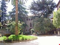 ascoli